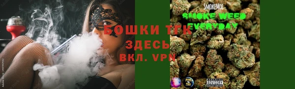 хмурый Ельня