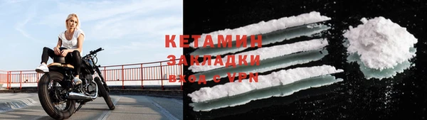 хмурый Ельня