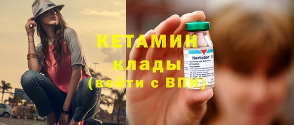 хмурый Ельня