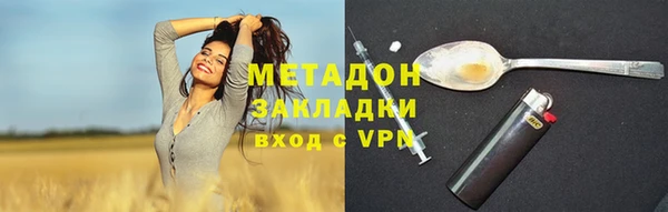 сатива Новозыбков