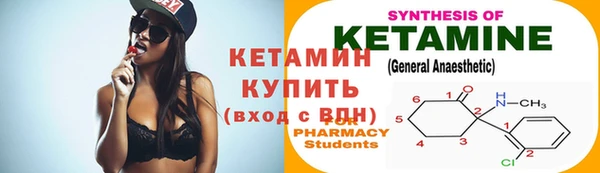 хмурый Ельня