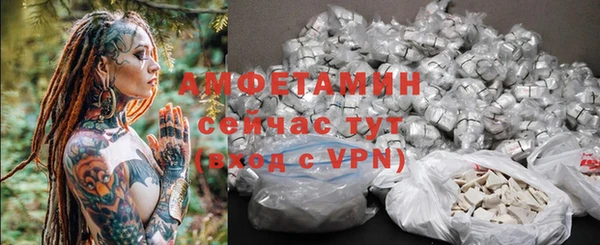 хмурый Ельня