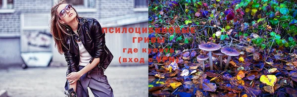 экстази Дмитриев