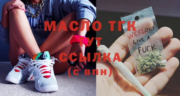 хмурый Ельня