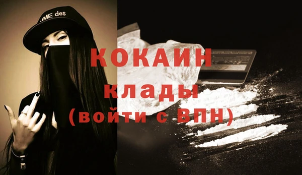 хмурый Ельня